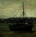 Homecoming Pirate by Sarah Vernon Homecoming Pirate by Sarah Vernon