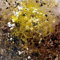 Honey Earth  by Daniel Rustad