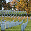 Honoring Americans Photograph by Holly Ross Honoring Americans Photograph by Holly Ross