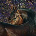 Horse Portrait with Carpet Photograph by Ekaterina Druz Horse Portrait with Carpet Photograph by Ekaterina Druz