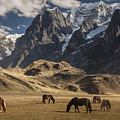 Horses Grazing Under Siula Grande Photograph by Colin Monteath Horses Grazing Under Siula Grande Photograph by Colin Monteath