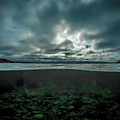 Hostsaga - Autumn tale by Nicklas Gustafsson Hostsaga - Autumn tale by Nicklas Gustafsson