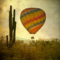 Hot Air Balloon Flight Over the Southwest Desert Photograph by James BO Insogna Hot Air Balloon Flight Over the Southwest Desert Photograph by James BO Insogna