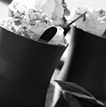 Hot Chocolat Photograph by Adriana Zoon Hot Chocolat Photograph by Adriana Zoon