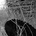House-saw-old Photograph by Curtis J Neeley Jr House-saw-old Photograph by Curtis J Neeley Jr