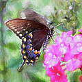 How Beautiful It is Painting by Tina LeCour How Beautiful It is Painting by Tina LeCour