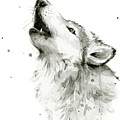 Howling Wolf Watercolor Painting by Olga Shvartsur Howling Wolf Watercolor Painting by Olga Shvartsur