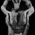 Human skull Photograph by Robert WK Clark Human skull Photograph by Robert WK Clark