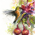 Hummingbird and Fuchsia Painting by Olga Shvartsur Hummingbird and Fuchsia Painting by Olga Shvartsur