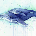 Humpback Whale Mom and Baby Watercolor Painting by Olga Shvartsur Humpback Whale Mom and Baby Watercolor Painting by Olga Shvartsur