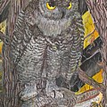 Hunting Owl Painting by Darren Cannell Hunting Owl Painting by Darren Cannell