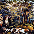 Hunting: Woodcock, 1852 by Granger Hunting: Woodcock, 1852 by Granger