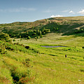 Hutton's bog view. Holyrood park. Photograph by Elena Perelman Hutton's bog view. Holyrood park. Photograph by Elena Perelman