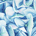 Hydrangea Painting by Lori Taylor Hydrangea Painting by Lori Taylor