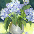 Hydrangeas in the Light by Maria Hunt