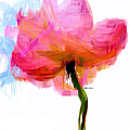 I am Pink Digital Art by Rafael Salazar I am Pink Digital Art by Rafael Salazar