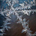 Ice Crossing Photograph by Scott Norris Ice Crossing Photograph by Scott Norris