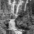 Icefields Waterfall Photograph by Mark Mille Icefields Waterfall Photograph by Mark Mille
