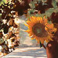 Un Bel Girasole Painting by Guido Borelli Un Bel Girasole Painting by Guido Borelli