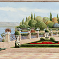 Il Pavone Painting by Guido Borelli Il Pavone Painting by Guido Borelli