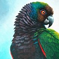 Imperial Parrot by Christopher Cox Imperial Parrot by Christopher Cox