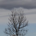 In between by Karin Ravasio