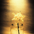 In Light Of Nostalgia by Jorgo Photography - Wall Art Gallery In Light Of Nostalgia by Jorgo Photography - Wall Art Gallery