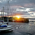 In the rays of the setting sun. Photograph by Elena Perelman In the rays of the setting sun. Photograph by Elena Perelman