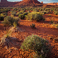 In The Valley Of The Gods by Inge Johnsson In The Valley Of The Gods by Inge Johnsson