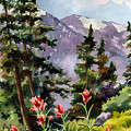Indian Paintbrush Painting by Anne Gifford Indian Paintbrush Painting by Anne Gifford