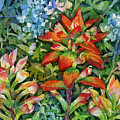 Indian Paintbrush Painting by Hailey E Herrera Indian Paintbrush Painting by Hailey E Herrera