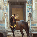 Indian Treasure Photograph by Ekaterina Druz Indian Treasure Photograph by Ekaterina Druz