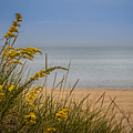 Indiana Dunes on Lake Michigan Photograph by Ron Pate Indiana Dunes on Lake Michigan Photograph by Ron Pate