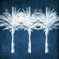 Indigo And White Palm Trees- Art by Linda Woods Mixed Media by Linda Woods Indigo And White Palm Trees- Art by Linda Woods Mixed Media by Linda Woods