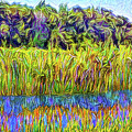 Indigo Lake Reflections Digital Art by Joel Bruce Wallach
