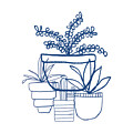 Indigo Potted Succulents- Art by Linda Woods Mixed Media by Linda Woods Indigo Potted Succulents- Art by Linda Woods Mixed Media by Linda Woods