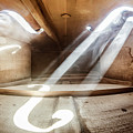 Inside Violin Iv by Adrian Borda Inside Violin Iv by Adrian Borda