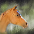 Inspiration - Horse Art By Michelle Wrighton by Michelle Wrighton