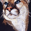 Intense by Barbara Keith Intense by Barbara Keith
