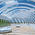 Intersecting Lines - Pastels Photograph by Sue Karski Intersecting Lines - Pastels Photograph by Sue Karski