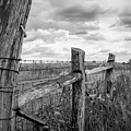 Into the Country Photograph by Becqi Sherman Into the Country Photograph by Becqi Sherman