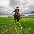Invisible Calf by Todd Klassy Invisible Calf by Todd Klassy