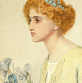 Iris Drawing by Frederick Sandys Iris Drawing by Frederick Sandys