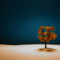 It Is Always There Photograph by Mark Ross It Is Always There Photograph by Mark Ross