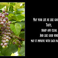 Italian Blessing Photograph by James BO Insogna Italian Blessing Photograph by James BO Insogna