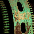 It's a Keeper Photograph by Holly Ross It's a Keeper Photograph by Holly Ross