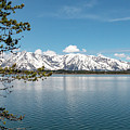 Jackson Lake 1 Photograph by Pam Holdsworth Jackson Lake 1 Photograph by Pam Holdsworth