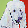 Jackson by Pat Saunders-White Jackson by Pat Saunders-White