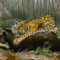 Jaguar Killing A Tapir Yoga Mat by Friedrich Wilhelm Kuhnert