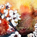 Japanese cherry blossom abstract flowers by Derek Mccrea Japanese cherry blossom abstract flowers by Derek Mccrea